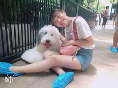 -TrueLove @ Neverland (Husky Cafe)