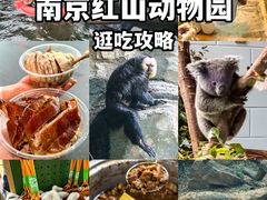 -红山森林动物园