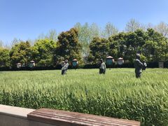 -证大喜玛拉雅中心
