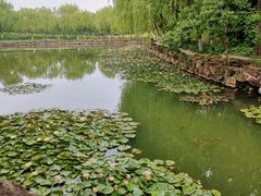 -大宁公园