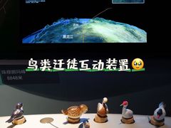 -中国湿地博物馆