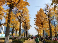 -两江幸福广场
