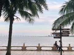 -观澳平台
