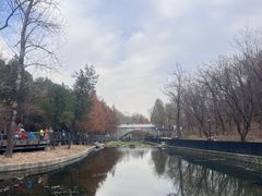 -白水寺森林公园