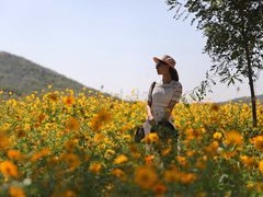-大连铭湖国际观光牧场