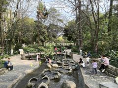 -成都市活水公园