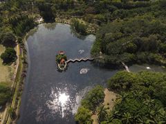 -深圳龙潭公园