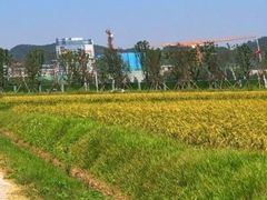 -光明小镇欢乐田园
