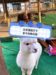 -萌宠亲子动物乐园(槐房万达店)