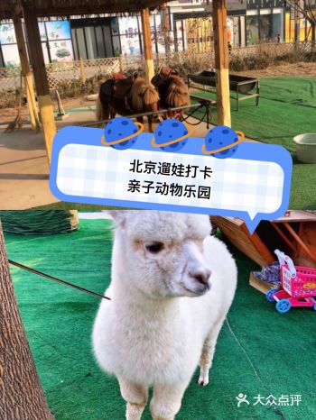 这个春天！遛娃就来亲子动物乐园吧！