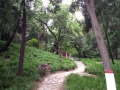 -保定市动物园