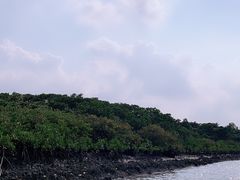 -东寨港红树林旅游区