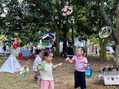 -南宁良凤江国家森林公园