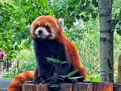 -北京野生动物园