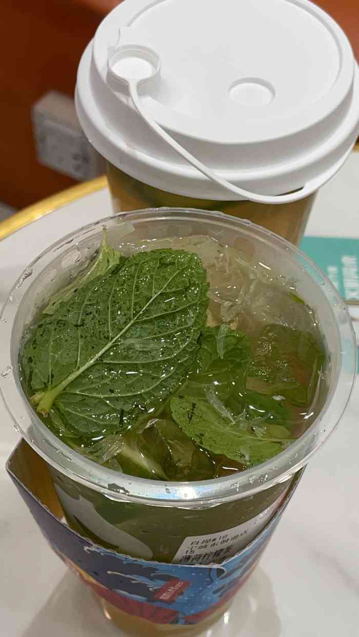 1828王老吉·草本新茶(宁波旗舰店)