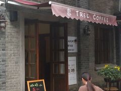 -两棵枇杷树