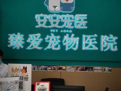 -安安宠医·臻爱宠物医院·宠保定点(营门口路分院)