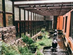 -Local泰莲庭(虹鳟鱼店)