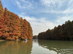 -上海海湾国家森林公园