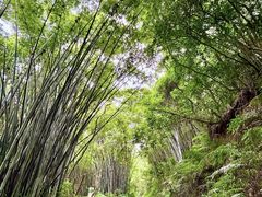 -玉树公园