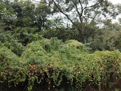 -中国移动南方基地