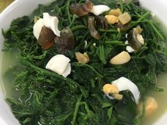 -渔鸽皇酒楼(鸿大广场店)