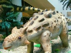 -辽宁古生物博物馆
