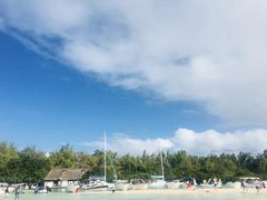-塞尔夫岛