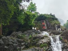-刘伯温故里景区百丈漈