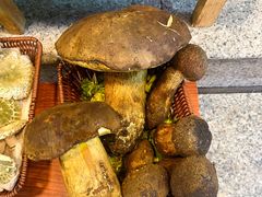 -草墩罗非鱼庄•野生菌•腊排骨(七星街上段店)