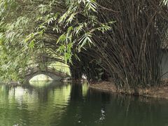 -棠湖公园