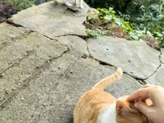 -惠山国家森林公园