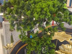 -三江源活鱼现烤(维多利摩尔城店)