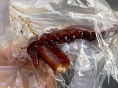 -福鼎褚翅