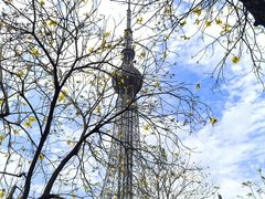 -文华公园(禅城区)