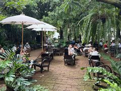 -Fern Forest Cafe