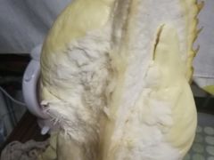 -家乐福(四元桥购物中心店)