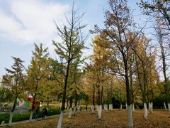 -白塘生态植物园