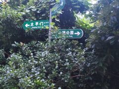 -紫金山山顶公园