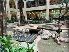 -白虎自助餐厅·真老虎·景观自助餐厅(广州长隆酒店)