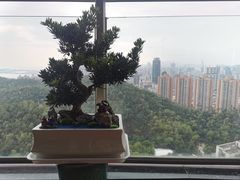 -罗记家常菜(鸿景花园店)