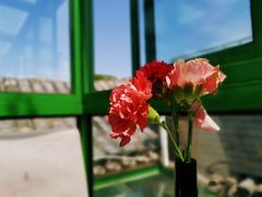 景观位-EATALIA意塔利意式餐厅(鼓楼店)