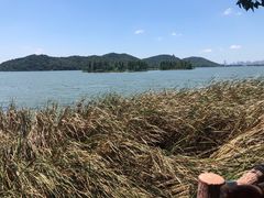 -东湖落雁景区