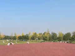 -汉长安城未央宫国家考古遗址公园