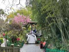 -乌山风景区