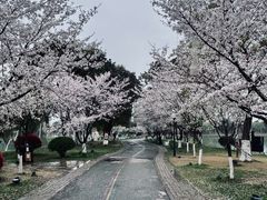 -尚湖风景区