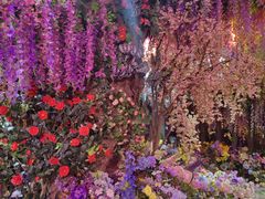 -正佳雨林生态植物园