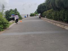 -深圳湾公园(南山区)
