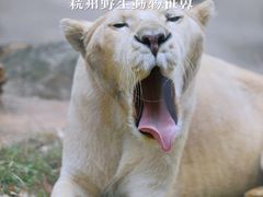 -杭州野生动物世界