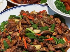 -食鸡公社辣子鸡·潍坊菜·烧烤